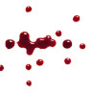 Meet your Posher, Brenna